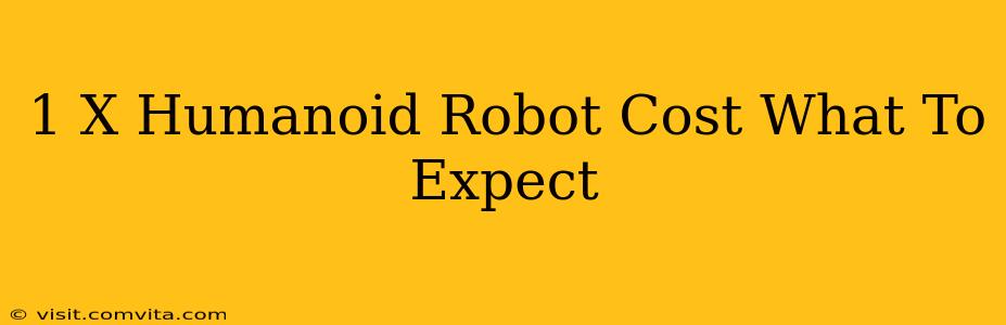 1 X Humanoid Robot Cost What To Expect