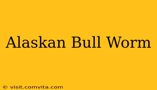 Alaskan Bull Worm