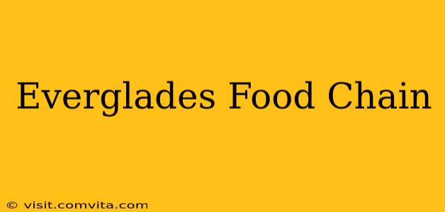 Everglades Food Chain