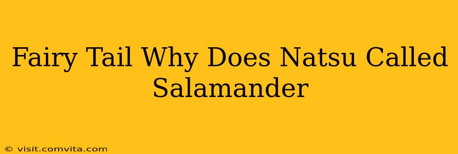 Fairy Tail Why Does Natsu Called Salamander
