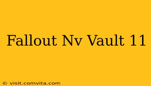 Fallout Nv Vault 11