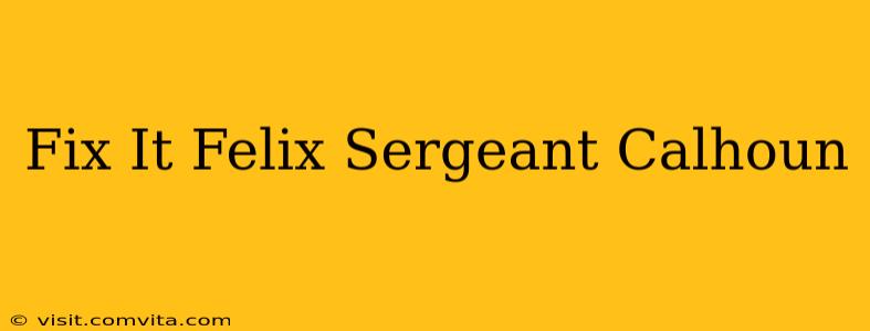 Fix It Felix Sergeant Calhoun