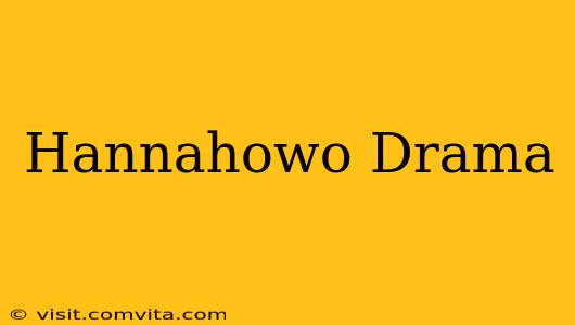 Hannahowo Drama
