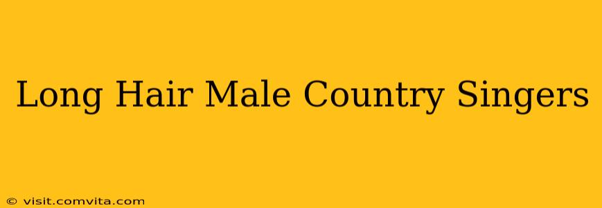 Long Hair Male Country Singers