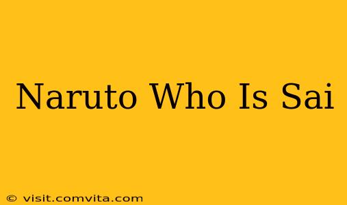 Naruto Who Is Sai