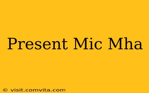 Present Mic Mha