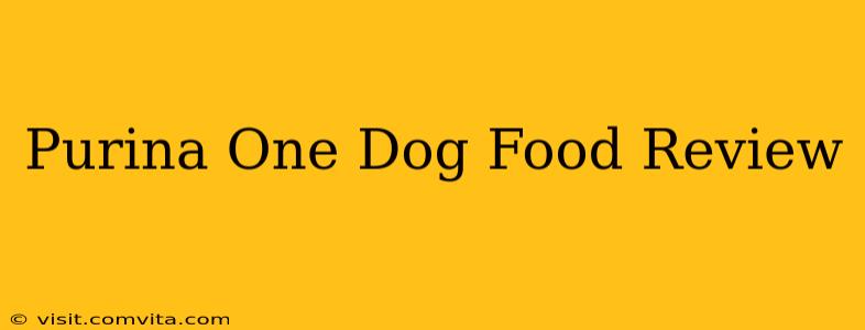 Purina One Dog Food Review